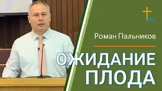 Ожидание плода | Роман Пальников | 04/28/2024