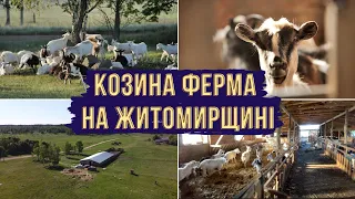 ВІДКРИВАЙ УКРАЇНУ: козина ферма на Житомирщині | ХаризмаUA