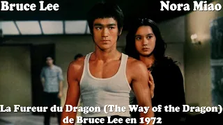 𝐋𝐚 𝐅𝐮𝐫𝐞𝐮𝐫 𝐝𝐮 𝐃𝐫𝐚𝐠𝐨𝐧 (The Way of the Dragon)