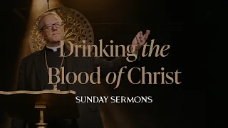 Drinking the Blood of Christ - Bishop Barron's Sunday Sermon