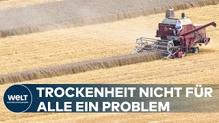 TROTZ TROCKENHEIT: Ernte wird "rekordverdächtig" früh eingeholt | WELT Thema
