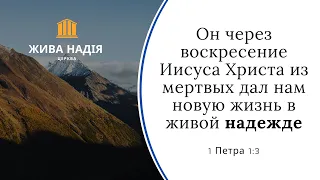 Live Hope Church ⛪ Утреннее служение 25 апреля 2021 года 🕊️