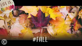 Life is.... #FALL ● Days of Violence - Nostalgic Piano ● Bruno Nicolai (HQ Audio)