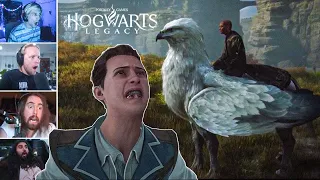 Streamers Messing with Animals, Hogwarts Legacy Funny Moments Compilation (Funny Compilation)