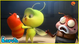 Larva Tuba - BIỆT ĐỘI BÁO THÙ - ẤU TRÙNG TINH NGHỊCH - PHIM HOẠT HÌNH HAY NHẤT 2021