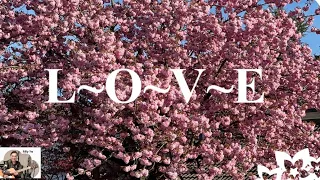 L-O-V-E (Nat King Cole) cover by Billy Yu (093)