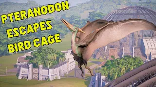 "Pteranodon" all Escape Animation - Broken Bird Cage - Flying to Heaven - Return to Jurassic Park