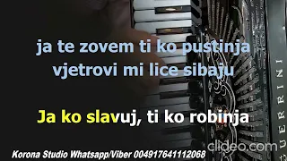 Halid Beslic  Robinja MATRICA LIVE Best TEXT