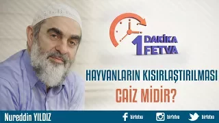 Hayvanların kısırlaştırılması caiz midir?/Birfetva - Nureddin YILDIZ