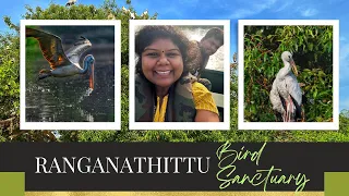 Ranganathittu Bird Sanctuary | Karnataka Largest Bird Sanctuary | Bird Watching Paradise