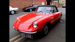 1967 Alfa Romeo 1600 Duetto Spider