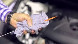 Hyundai Car Maintenance: How to check your oil levels