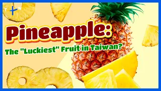 Taiwan's Top Fruit Export: Lucky, Versatile, and Sweet ｜Jason's Table: Fruit Lab