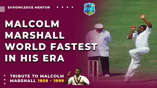 Malcolm Marshall Died in 41 Years | Tribute to Malcolm Marshall