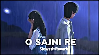 O Sajni Re (Slowed + Reverb) | Storm Edition | Arijit Singh | Laapataa Ladies | Feel The Music
