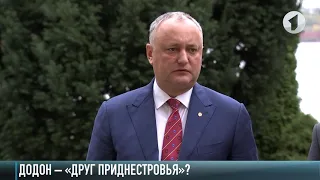 Что такое дружба? Отвечает Додон