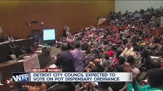 Detroit City Council meeting on medical marijuana