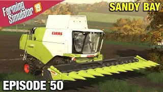 BIG MONEY FROM SUNFLOWERS Farming Simulator 19 Timelapse - Sandy Bay Seasons FS19 Ep 50