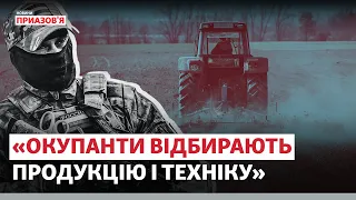 «Економічний занепад» в окупації: РФ хоче створити «вільну економічну зону» | Новини Приазов’я