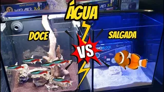 Meu primeiro Aquário ! Água Salgada x Água Doce ? Qual Aquário vou montar ? (Iniciantes)