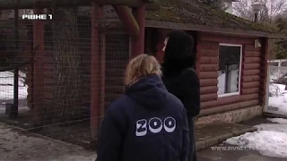Зимовий зоопарк у Рівному тепер доступний для рівнян