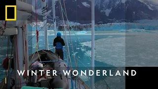 The Winter Fight For Survival | Winter Wonderland | National Geographic WILD