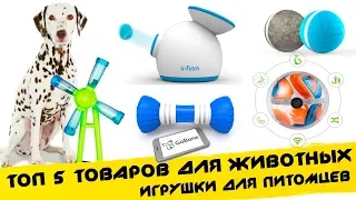 ✔ Топ 5 ИГРУШКИ ДЛЯ СОБАК / ТОВАРЫ ДЛЯ ЖИВОТНЫХ