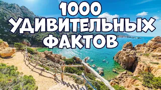 1000 УДИВИТЕЛЬНЫХ ФАКТОВ, КОТОРЫЕ НЕ ВСЕМ ИЗВЕСТНЫ