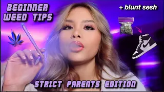 blunt sesh + beginner *WEED TIPS* (strict parents edition)