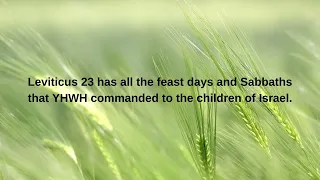 Happy Shavuot - The Feast Of Weeks