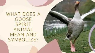 What Does a Goose Spirit Animal Mean and Symbolize?