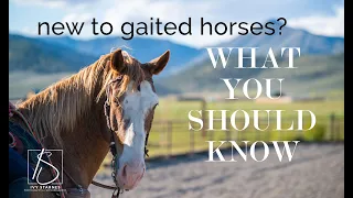New to Gaited Horses?  What you should know!