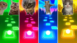 Talking Cats vs Chipi Chipi Chapa Chapa Cat vs Happy Happy Happy Cat vs Sad Cat - Tiles Hop EDM Rush