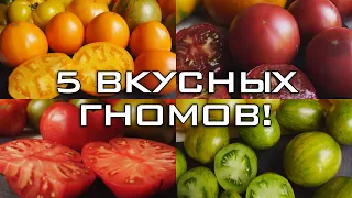 ТОМАТЫ ГНОМЫ. ОБЗОР ВКУСНЫХ СОРТОВ!