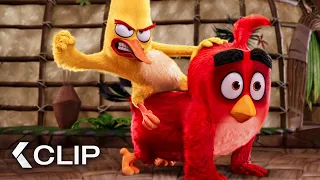 Anger Management Class Scene - The Angry Birds Movie (2016)