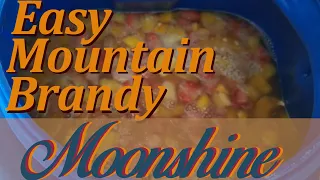 How to make easy mountain brandy moonshine using wild yeast