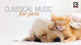 Classical Music for Pets