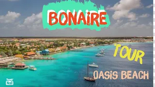 Bonaire Cruise Port ! Flamingos 🦩, Ocean Oasis Beach, salt mine, views  Royal Caribbean Excursion