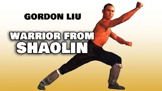 Wu Tang Collection - Warrior from Shaolin