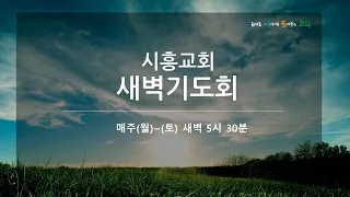 2024. 05. 11 시흥교회 새벽기도회 - 황대신 목사(로마서  2장 6절 - 11절)