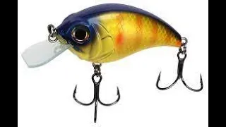 Bill Lewis Squarebill Bluegill Diving Crankbait Unboxing and Testing. How Well Did It Do?