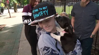 Boy who watched dogs during chemo gets puppy of his own