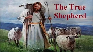 THE TRUE SHEPHERD - END-TIMES WARNING - WOLVES IN SHEEP CLOTHING