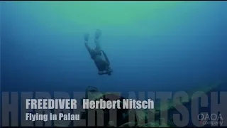 Freediver Herbert Nitsch - Flying in Palau