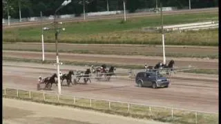 horse raсing.Цми.Ипподром.№11.Распутин.Rekord Rashen