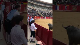 Toro Valencia Arena Spain #toro #arenavalencia #valencia #matador #boğagüreşi #spain #ispanya