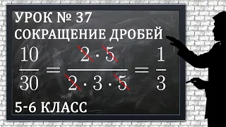 Изучаем математику с нуля / Урок № 37 / Сокращение дробей