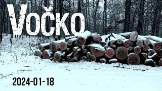 2024-01-18 Vočko