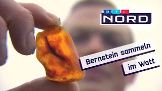 Schmucksteine aus der Nordsee: Wo man Bernstein findet und wie man ihn erkennt