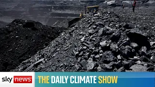 The Daily Climate Show: Most new coal plants scrapped since Paris agreement